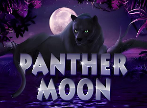 Panther Moon
