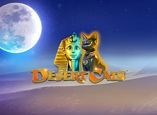 Desert Cats logo