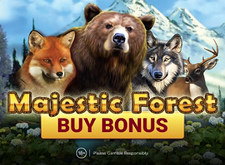 Majestic Forest Buy Bonus