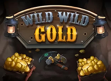 Wild Wild Gold logo