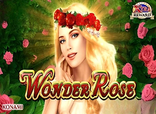 Wonder Rose logo