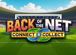 Back of the Net logo