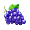 40 power hot coin boost grape symbol