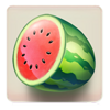bill and coin watermelon symbol