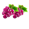 phoenix star grapes symbol